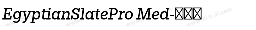 EgyptianSlatePro Med字体转换